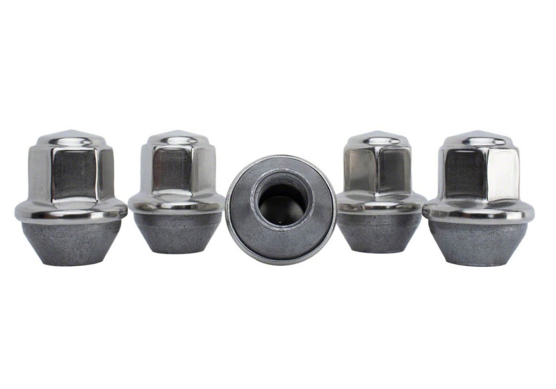 Ford Mustang Lug Nut Kit - Ford Racing - Silver - `15-`16