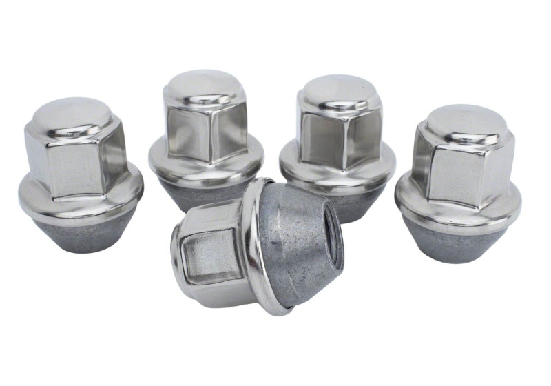 Ford Mustang Lug Nut Kit - Ford Racing - Silver - `15-`16