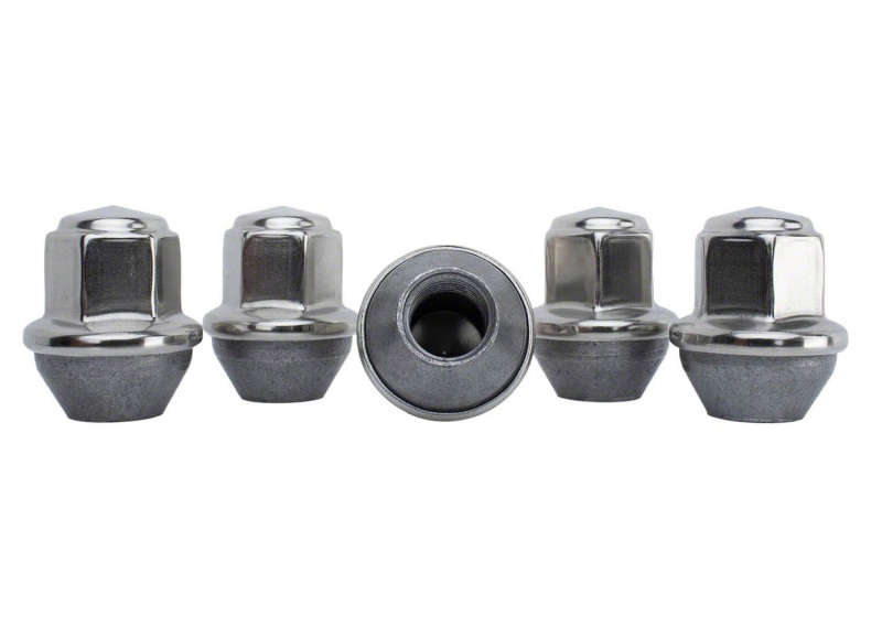 Ford Mustang Lug Nut Kit - Ford Racing - Silver - `15-`16