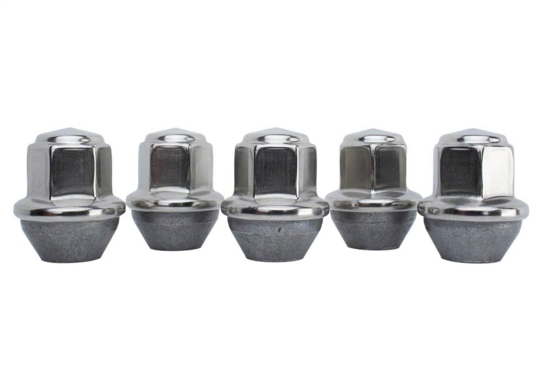 Ford Mustang Lug Nut Kit - Ford Racing - Silver - `15-`16
