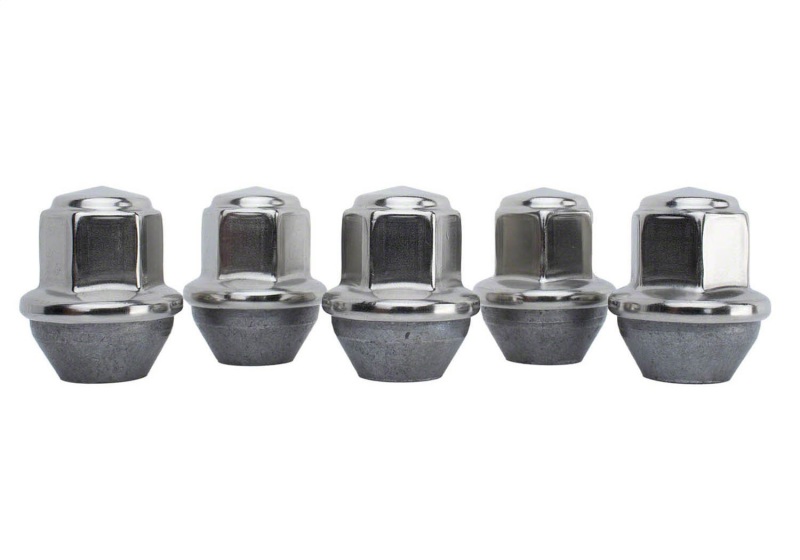 Ford Mustang Lug Nut Kit - Ford Racing - Silver - `15-`16