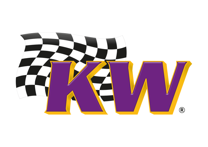 Porsche Cayman KW DDC ECU Module