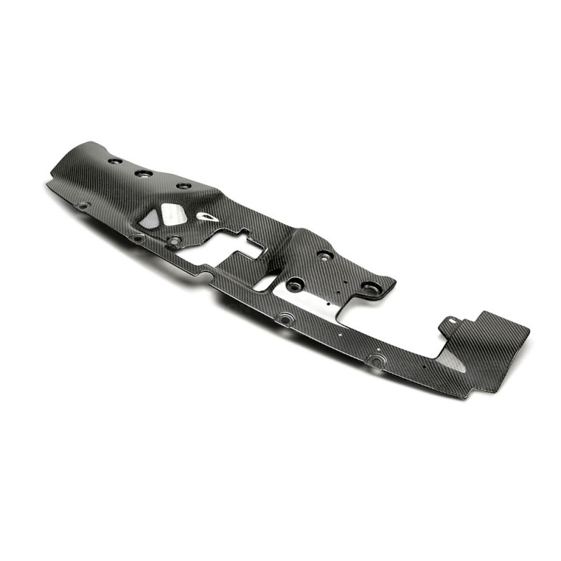 Honda Civic Cooling Plate - Seibon - Type-R FK8 - Carbon Fiber - `17-`20
