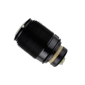 Mercedes-Benz CLS Class Air Suspension Spring - Rear Left - Bilstein - B3 OE Replacement (Air) - `15-`16