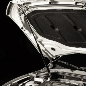 Volkswagen Golf Hood Strut Kit - COBB - `22-`23