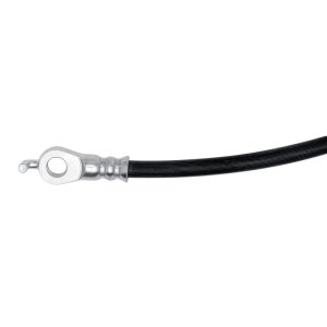 Lexus ES350 Brake Hose - Rear - DFC - `18-`23