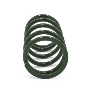 Polaris Xpedition ADV Clutch Springs - EPI - Secondary - Green - `24-`27
