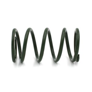Polaris Xpedition XP Clutch Springs - EPI - Secondary - Green - `24-`27