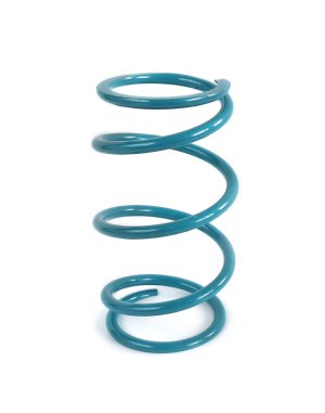 Polaris RZR S Clutch Springs - EPI - Secondary - Teal - `16-`22 Polaris RZR S Clutch Springs - EPI - Secondary - Teal - `16-`22