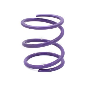 Polaris Xpedition ADV Clutch Springs - EPI - Primary - Purple - `24-`27