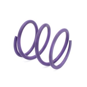 Polaris Xpedition XP Clutch Springs - EPI - Primary - Purple - `24-`27