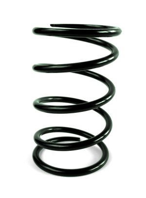 Can-Am Maverick Sport/Trail Clutch Springs - EPI - Secondary Spring - Green - `16-`27