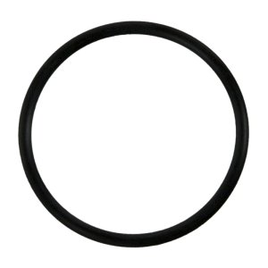 Ford GT Water Pump Gasket - Fel-Pro - `17-`22