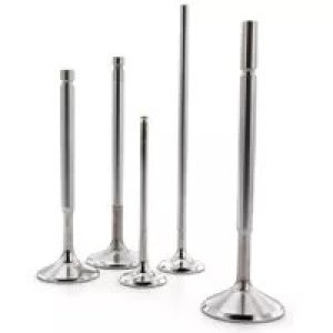 Honda CRF 450 Intake Valve Set - Ferrea - Competition - `02-`06