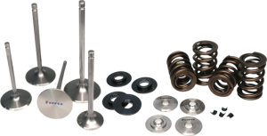 Ford Ecoboost Valve Spring Kit - Ferrea - Single Spring Kit - 2015