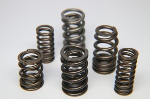 Honda Civic Valve Springs - Ferrea - Dual - `94-`01
