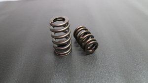 Honda S2000 Valve Spring (1) - Ferrea - Single Beehive Ovate PAC Alloy Nitrided - `00-`09