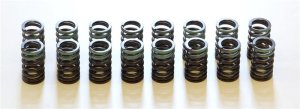 Mitsubishi Lancer Evolution Valve Springs - HKS - `03-`06