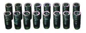 Mitsubishi Lancer Evolution Valve Springs - HKS - `03-`06