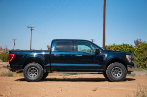 Ford F150 Coilover Suspension Kit - Rear - ICON - 2.5 VS PB CDEV - `21-`23