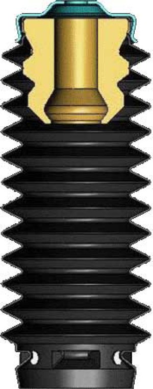 Buick LaCrosse Strut Boots - Front - KYB - 2005 Buick LaCrosse Strut Boots - Front - KYB - 2005