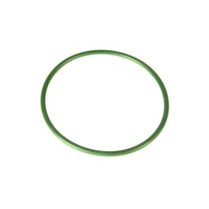 Jeep Wrangler Fuel Pump O-Ring - OMIX - Fuel Pump Module Seal - `05-`06