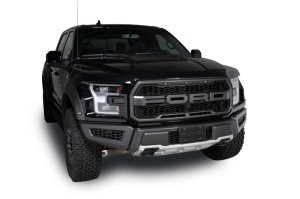 Ford F-150 Raptor Bumper Grille Inserts - Putco - Hex Shield - Black Powder Coated - `17-`20