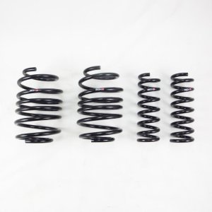 Ford Mustang Lowering Springs - RS-R - Down Sus - `15-`27