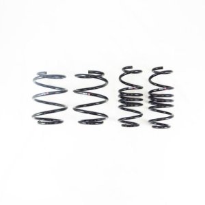 Acura Integra Lowering Springs - RS-R - Down Sus - `22-`27