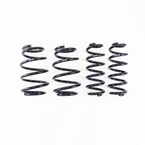 Toyota RAV4 Prime Lowering Springs - RS-R - Down Sus - `19-`25