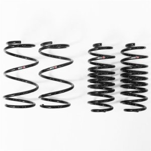 Toyota Prius Coilover Suspension Kit - RS-R - Down Sus - `10-`15