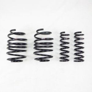 Lexus RX350 Lowering Springs - RS-R - Down Sus - `23-`27
