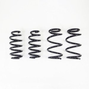 Tesla Model 3 Coilover Suspension Kit - RS-R - Ti2000 Down Springs - `17-`27