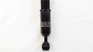 Lexus LS430 Coilover Suspension Kit - RS-R - Black-i - `01-`06