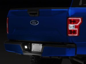 Ford F-150 LED License Plate Light - Raxiom - Axial Series - `15-`23