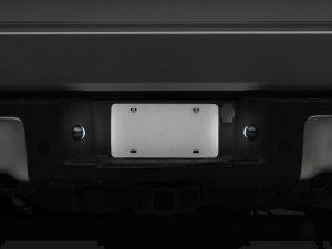 Ford F-150 License Plate Bulbs - Raxiom - Axial Series LED - Clear Lenses with Black Plastic Housing - `01-`14