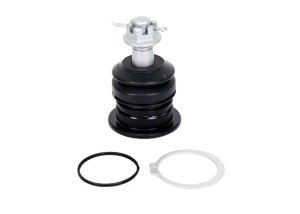 Lexus LX570 Ball Joints - Whiteline - Fixed Offset UCA Replacement - `08-`21 Lexus LX570 Ball Joints - Whiteline - Fixed Offset UCA Replacement - `08-`21