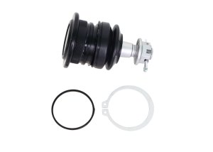 Lexus LX570 Ball Joints - Whiteline - Fixed Offset UCA Replacement - `08-`21 Lexus LX570 Ball Joints - Whiteline - Fixed Offset UCA Replacement - `08-`21