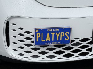 Volkswagen ID. Buzz License Plate Mount - Platypus