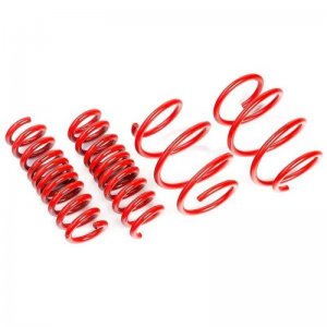 Subaru WRX Lowering Springs - AST - 20mm/20mm - `15-`21