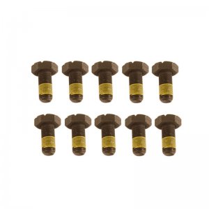 Ford Mustang Differential Ring Gear Bolt Kit - Ford Racing - M12x1.25x26mm - `15-`18