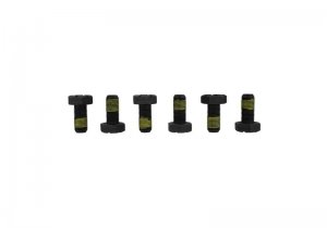 Ford Mustang Differential Ring Gear Bolt Kit - Ford Racing - M12x1.25x26mm - `15-`18