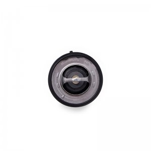 Chevrolet Camaro SS Thermostat - Mishimoto - Racing - `10-`15