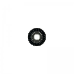 Jeep Gladiator Idler Pulley - OMIX - 3.6L - 2019