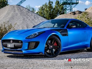 Jaguar F-TYPE Exterior Trim - Carbon Fiber - Radiator Grille Center Cover