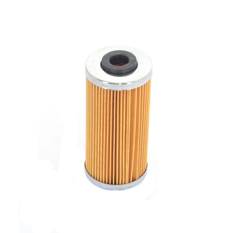 BMW G 450 X Oil Filter - Athena - `09-`10