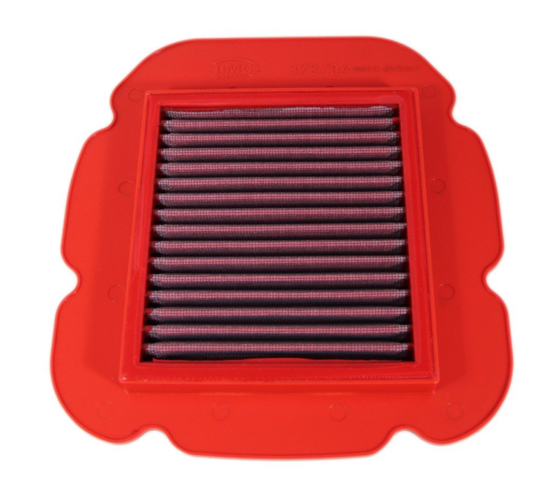 Kawasaki KLV 1000 Air Filter - BMC - Standard - `04-`05