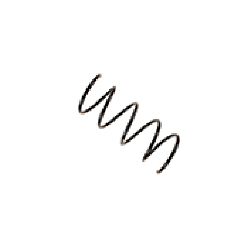 Mercedes-Benz C230 Kompressor Coil Spring - Front - Bilstein - B3 OE Replacement - `03-`05