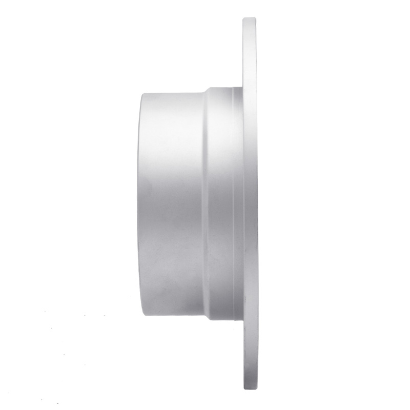 BMW Z3 Brake Rotor (1) - Rear Right - DFC - Geoperformance Drilled & Slotted - `96-`02