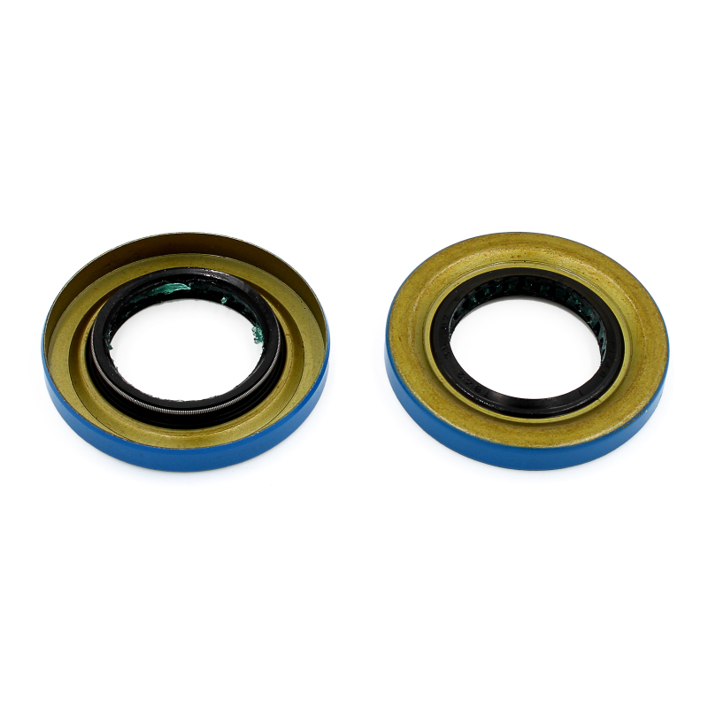 Audi A4 Quattro Brake Pads + Rotors - Rear - DFC - Plain Rotors + Ceramic Pads - `02-`06